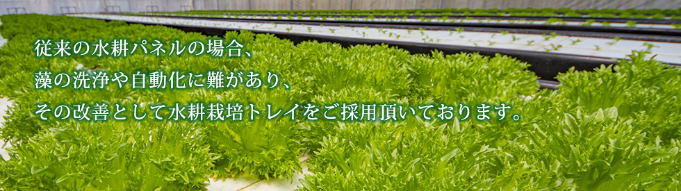 サイバー